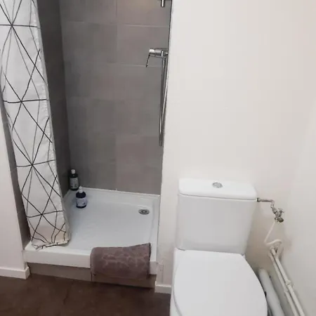Central Gare Apartment Lyon